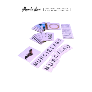 LETRA PALABRA IMAGEN: TARJETAS "MURCIÉLAGO"