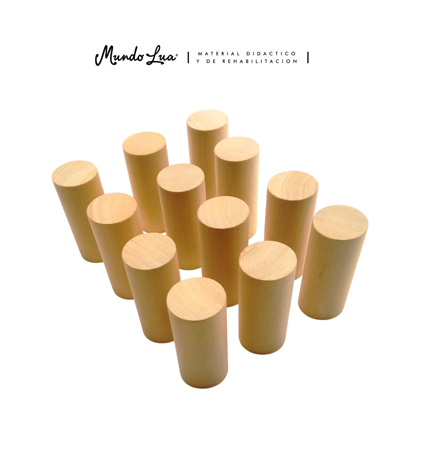 CLAVIJAS O CILINDROS DE MADERA CON 12 MODELOS